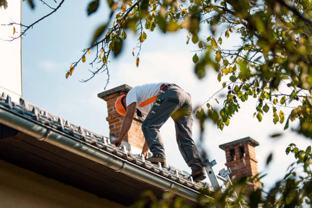 Best Storm Damage Roof Repair  in Weidman, MI