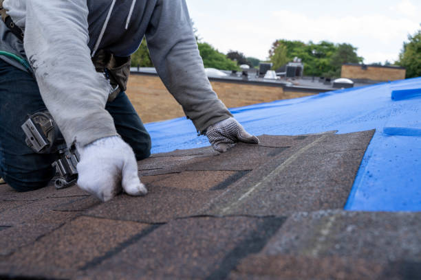 Best Roof Repair Services  in Weidman, MI