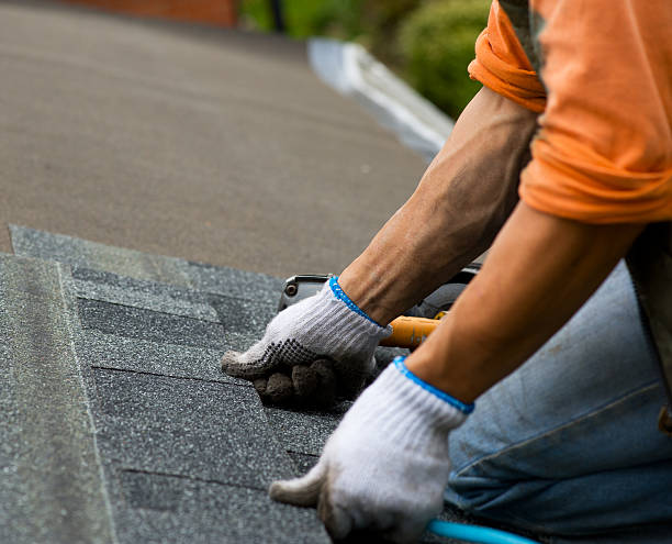Professional Roofing Contractor in Weidman, MI
