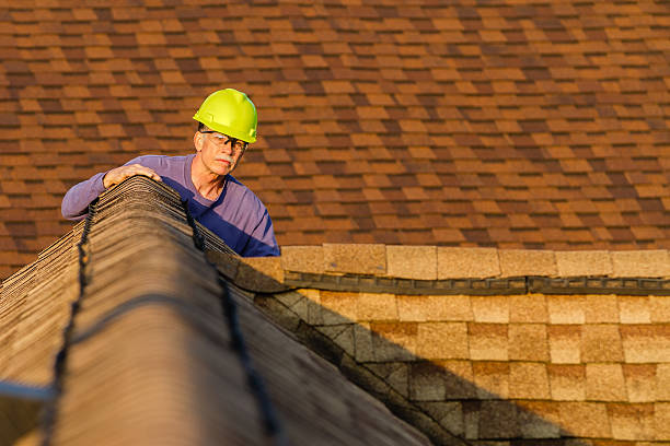Best Metal Roofing Contractor  in Weidman, MI