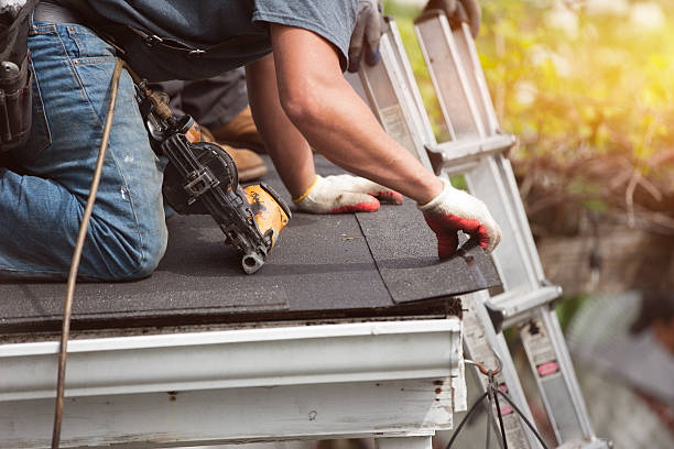 Best Sealant for Roof  in Weidman, MI