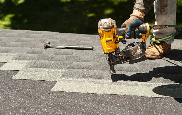 Best Local Roofing Companies  in Weidman, MI