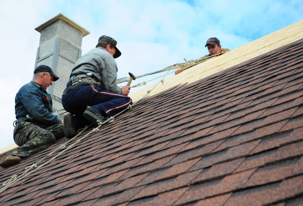 Best Shingle Roofing Installation  in Weidman, MI