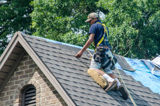 Best Roof Leak Repair  in Weidman, MI