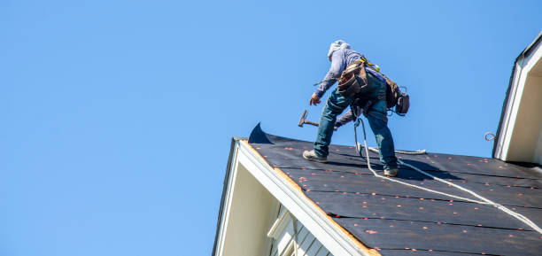 Best Roof Gutter Cleaning  in Weidman, MI
